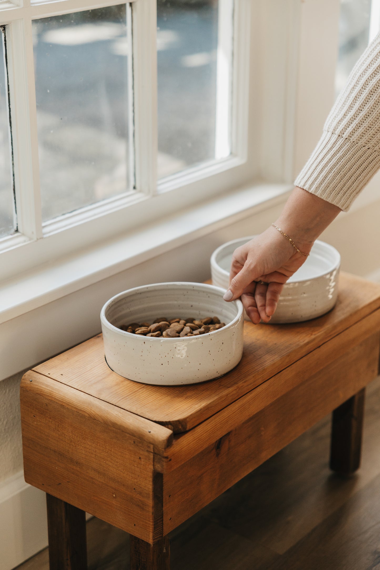 Dog Bowl