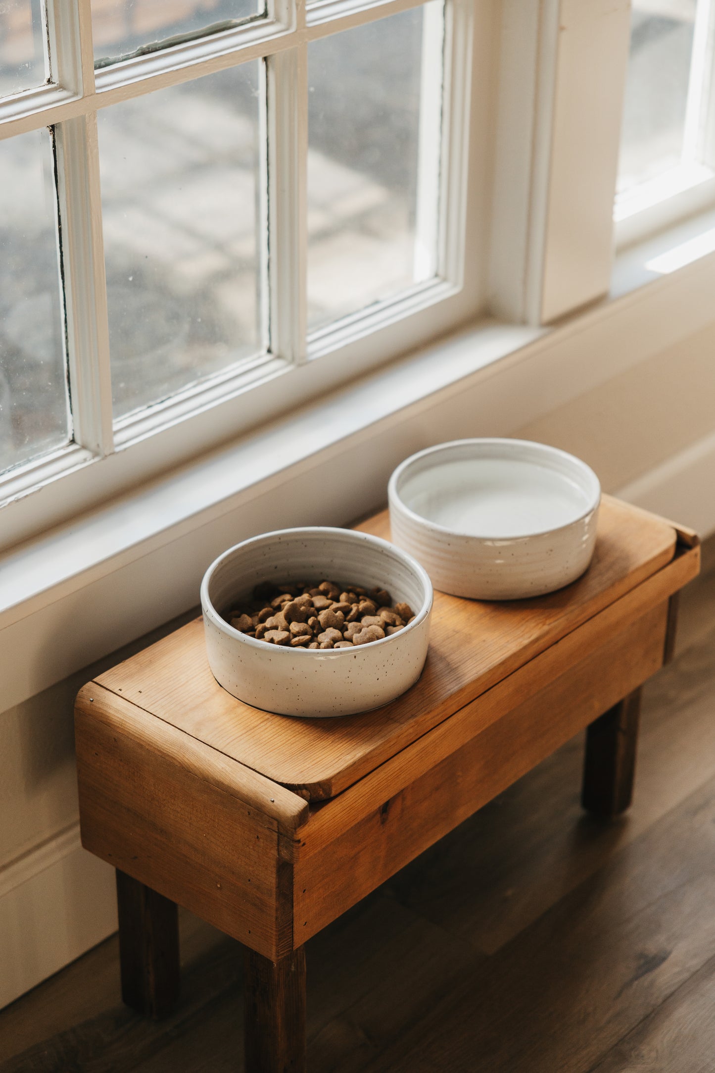 Dog Bowl