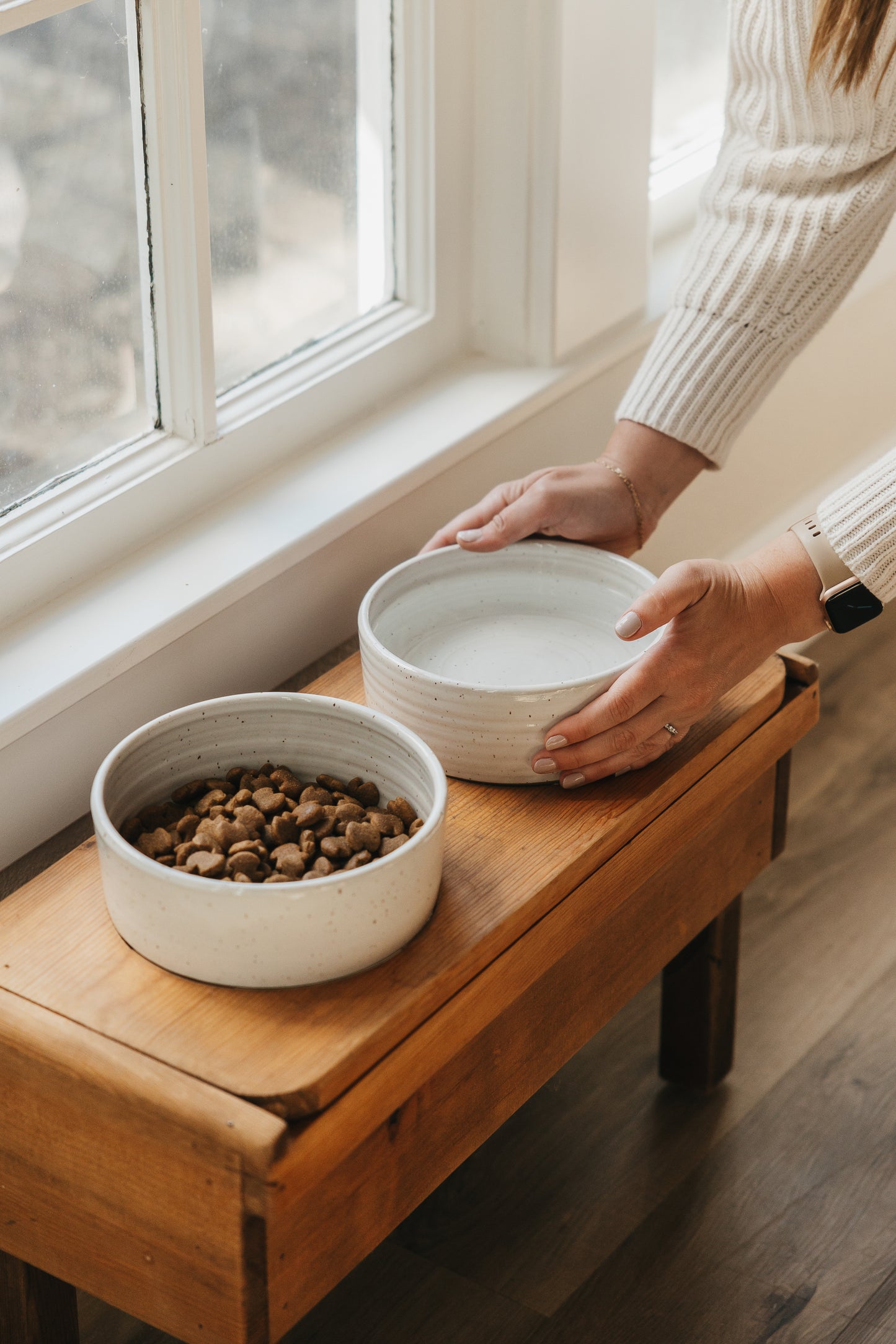 Dog Bowl